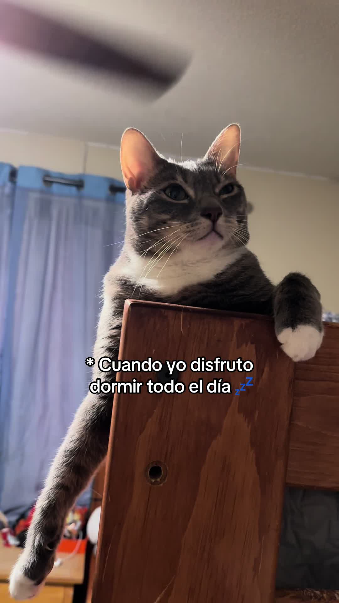 @Liz Vall.