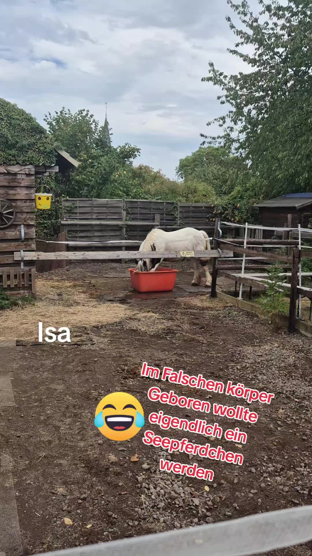@LunaherzTina