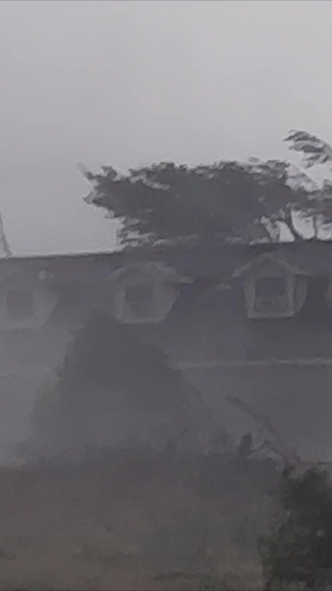 @Discovery