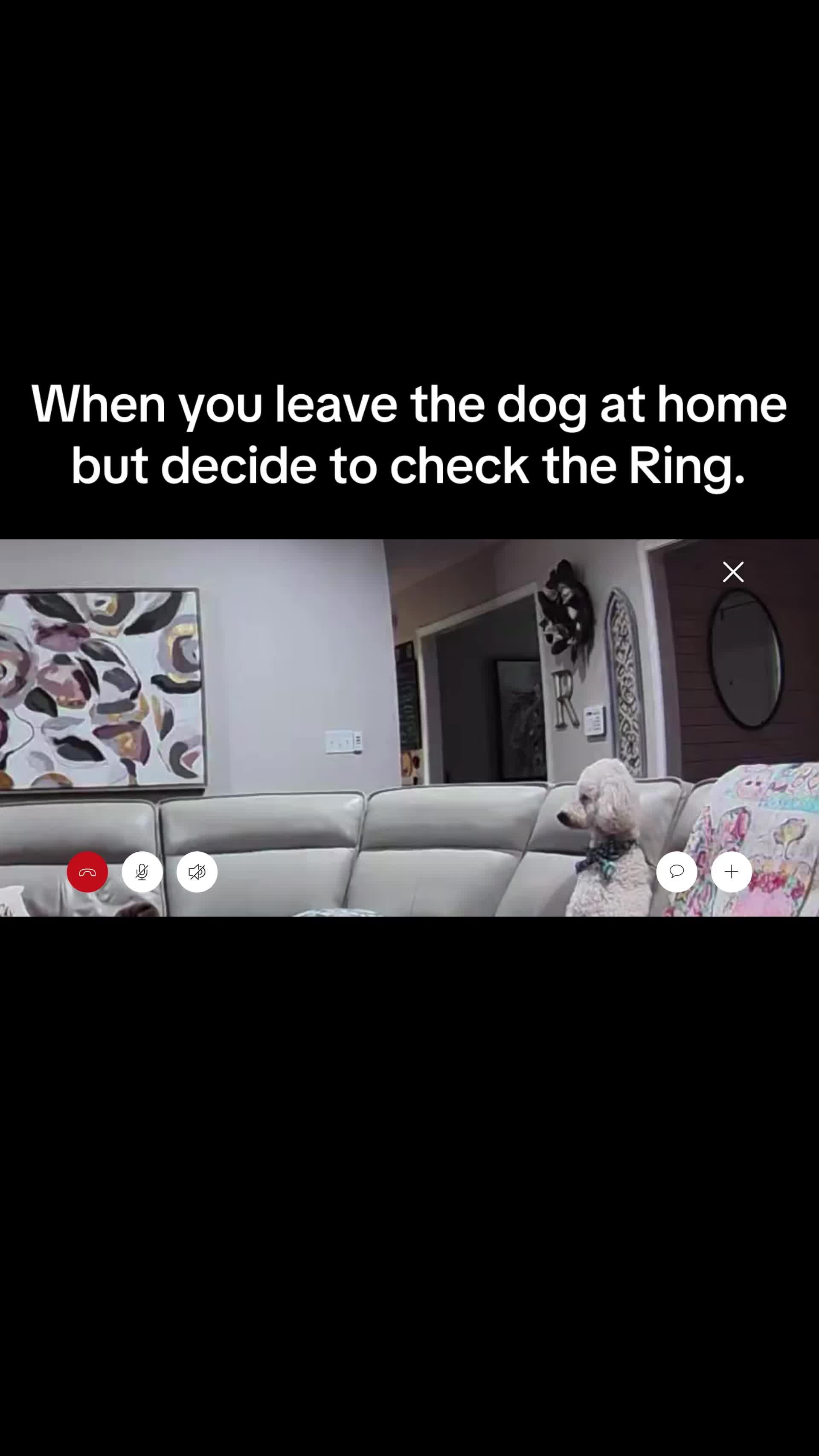 @raylovesdonuts