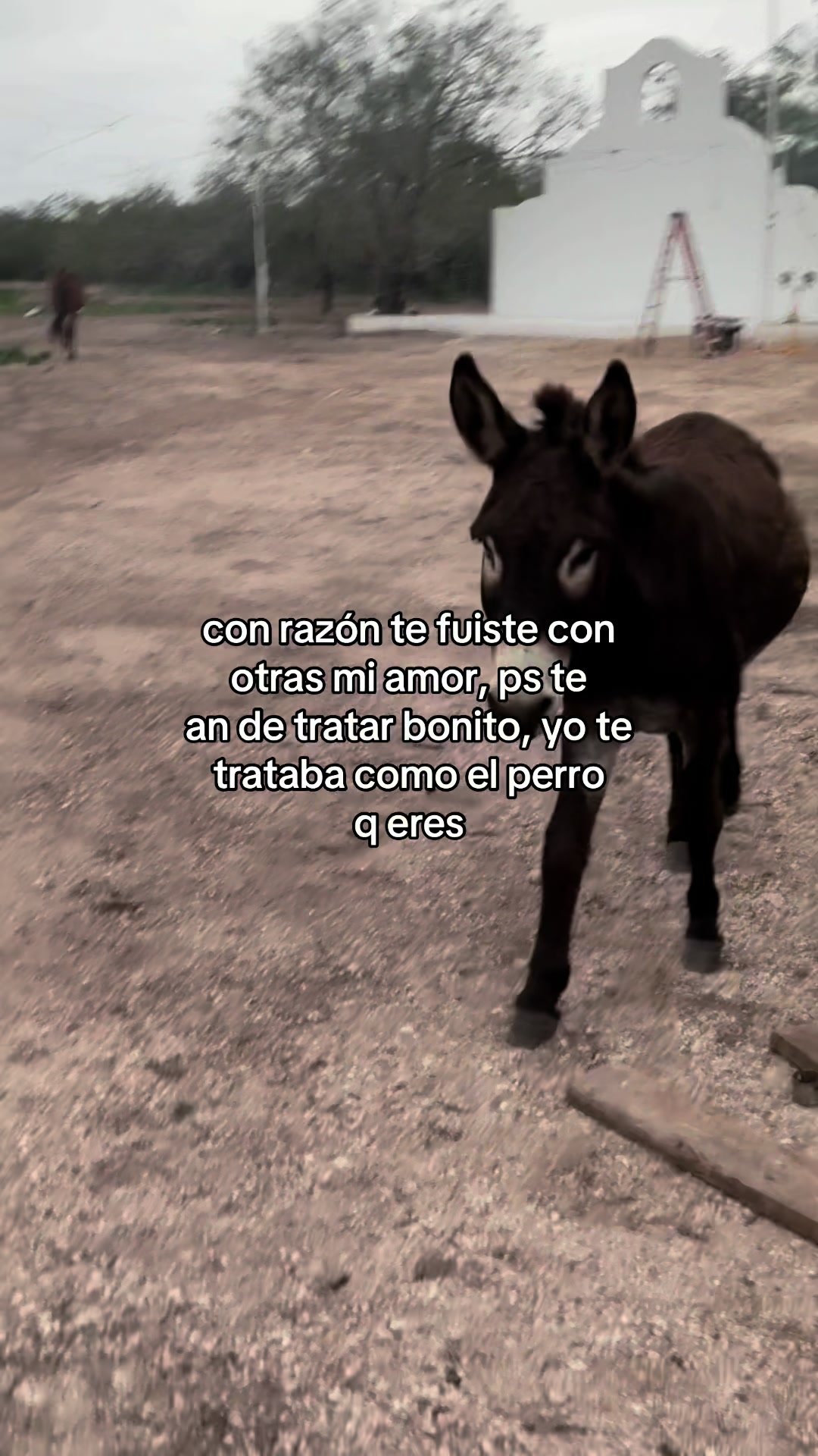 @elz