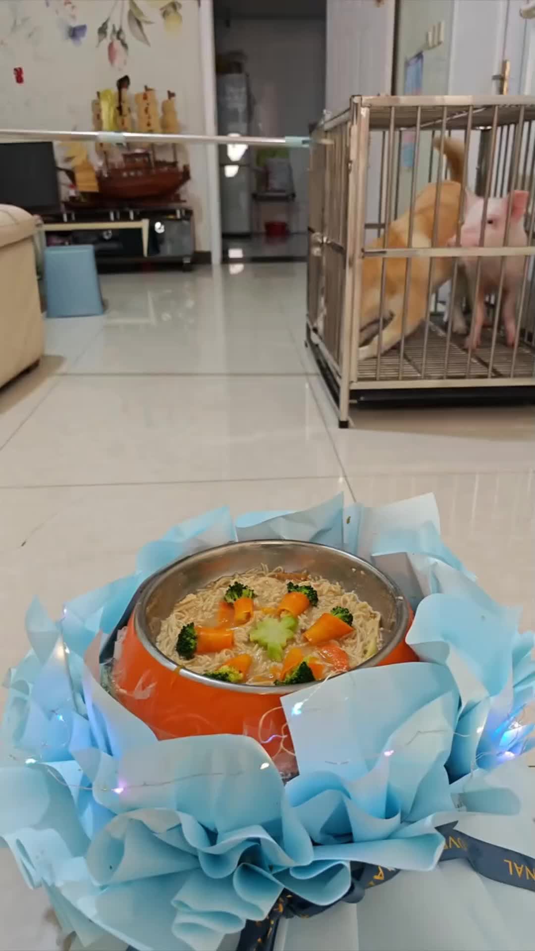 @Mia
