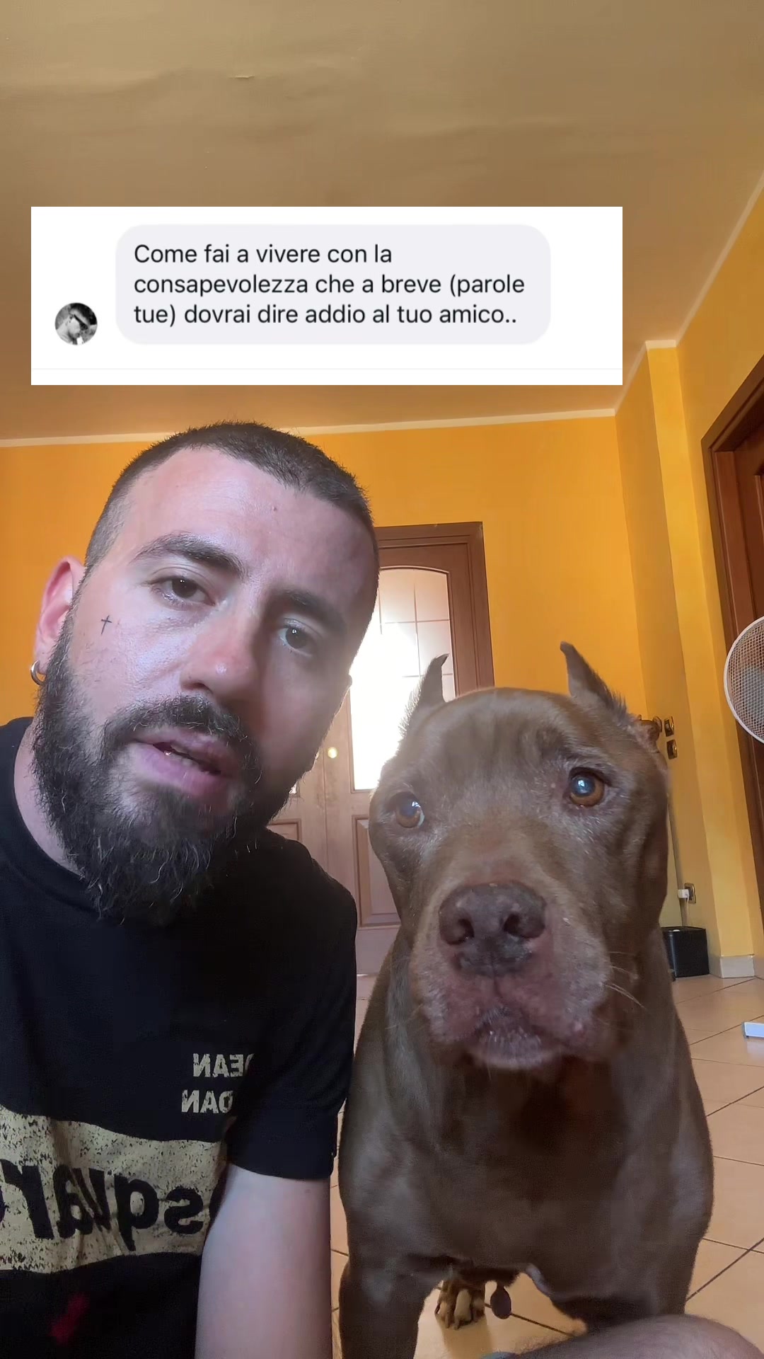 @👦🏻Luca&yago🐶