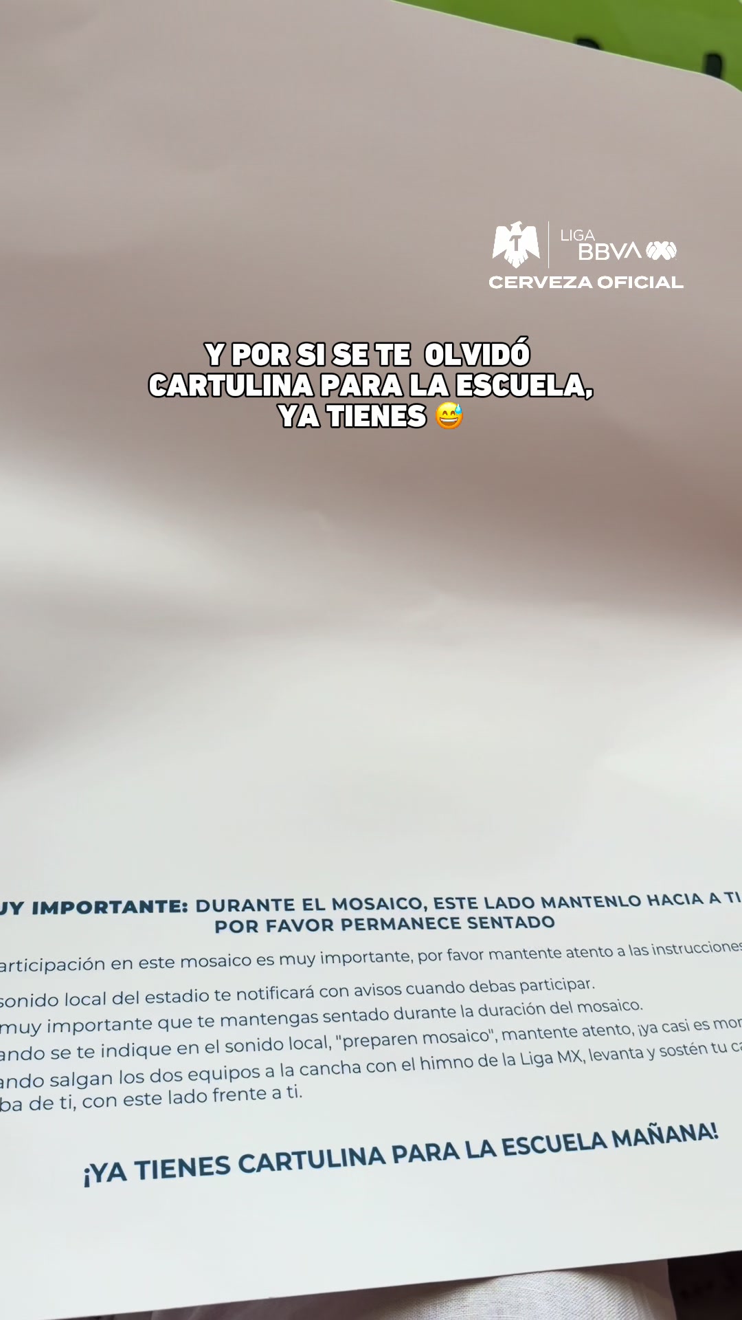 @Liga BBVA MX