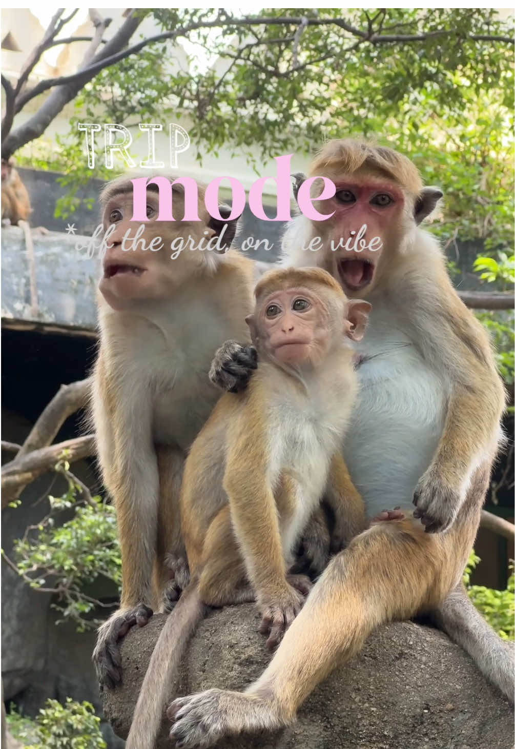 @𝓘𝓵𝓸𝓷𝓪 🥥☀️ 𝓣𝓻𝓪𝓿𝓮𝓵