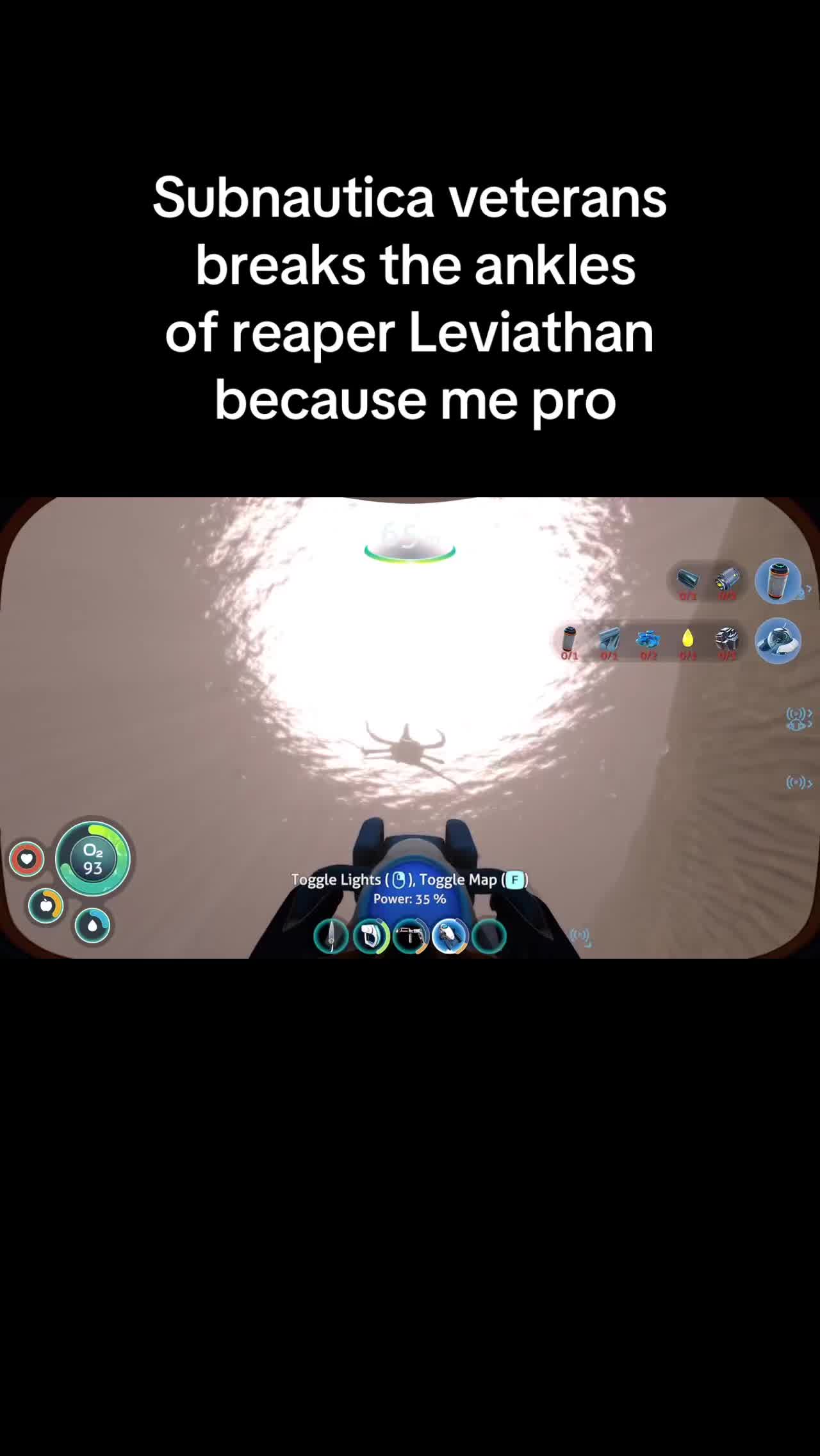 @V1 shrimp version