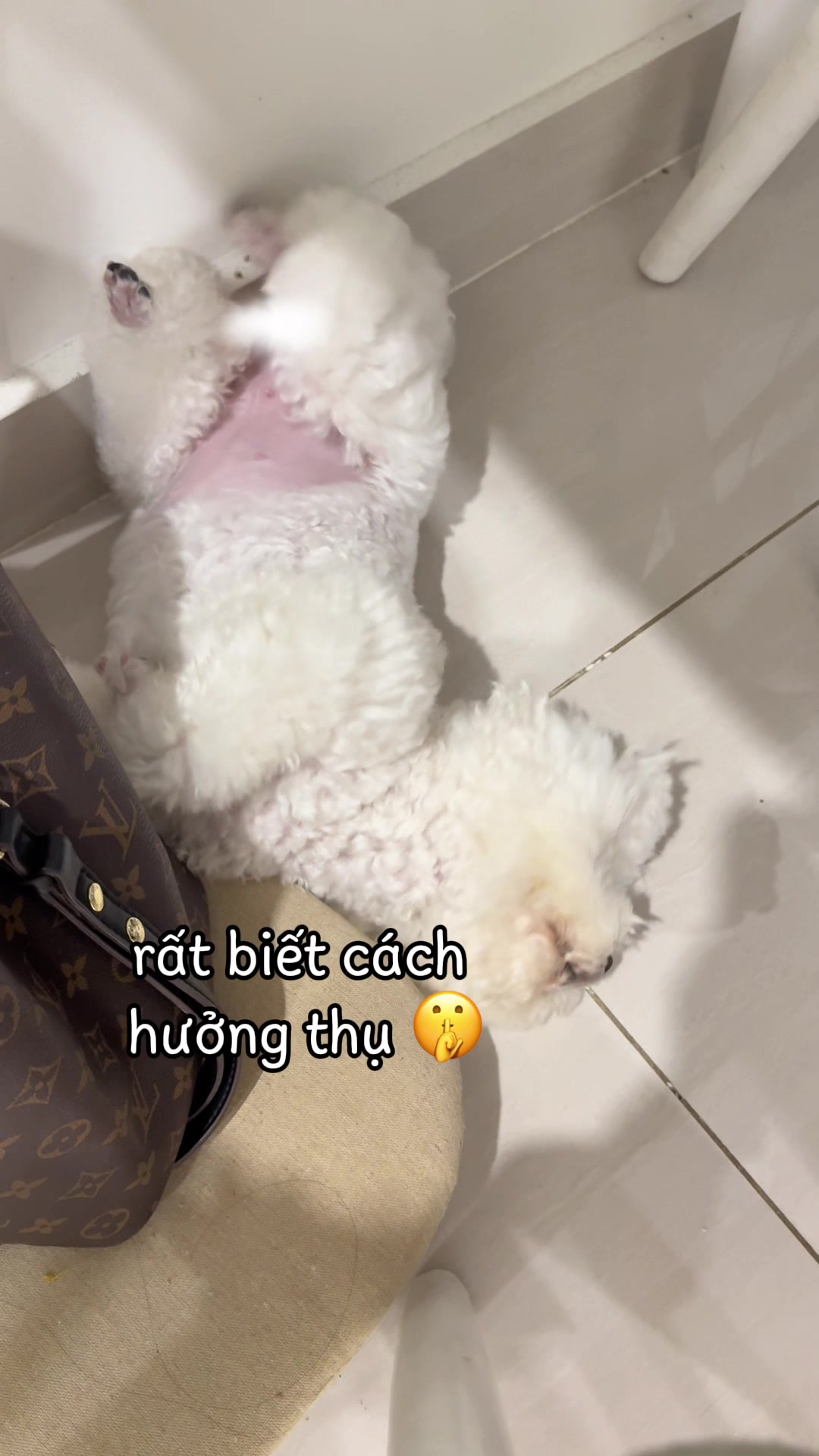 @Gia Đình AvocaBo