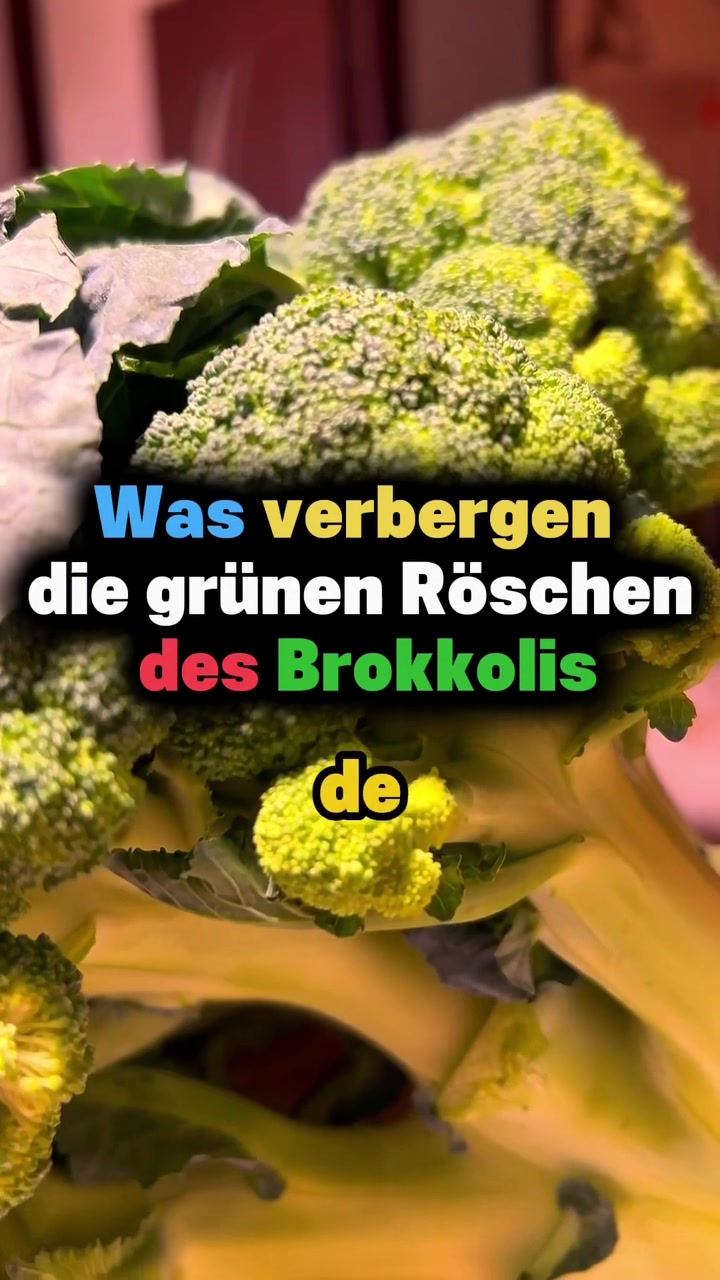 @FoodFackt