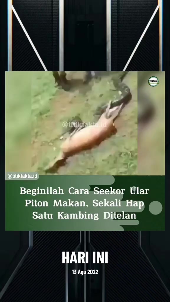 @Titik Facts