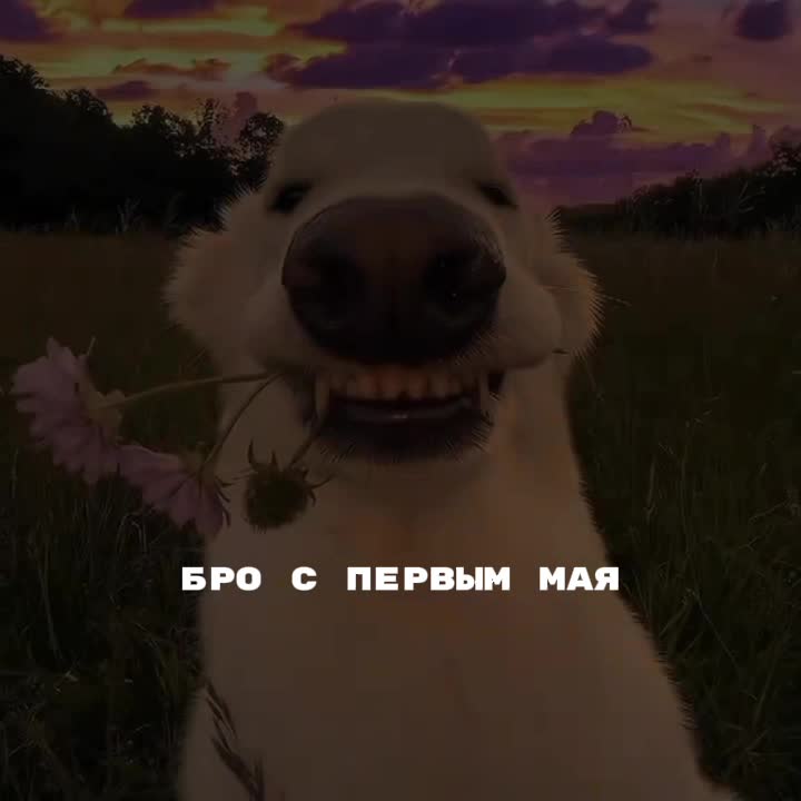 @ᅠ ᅠ ᅠᅠ ᅠ ᅠ ᅠ ᅠ ᅠ ᅠ.