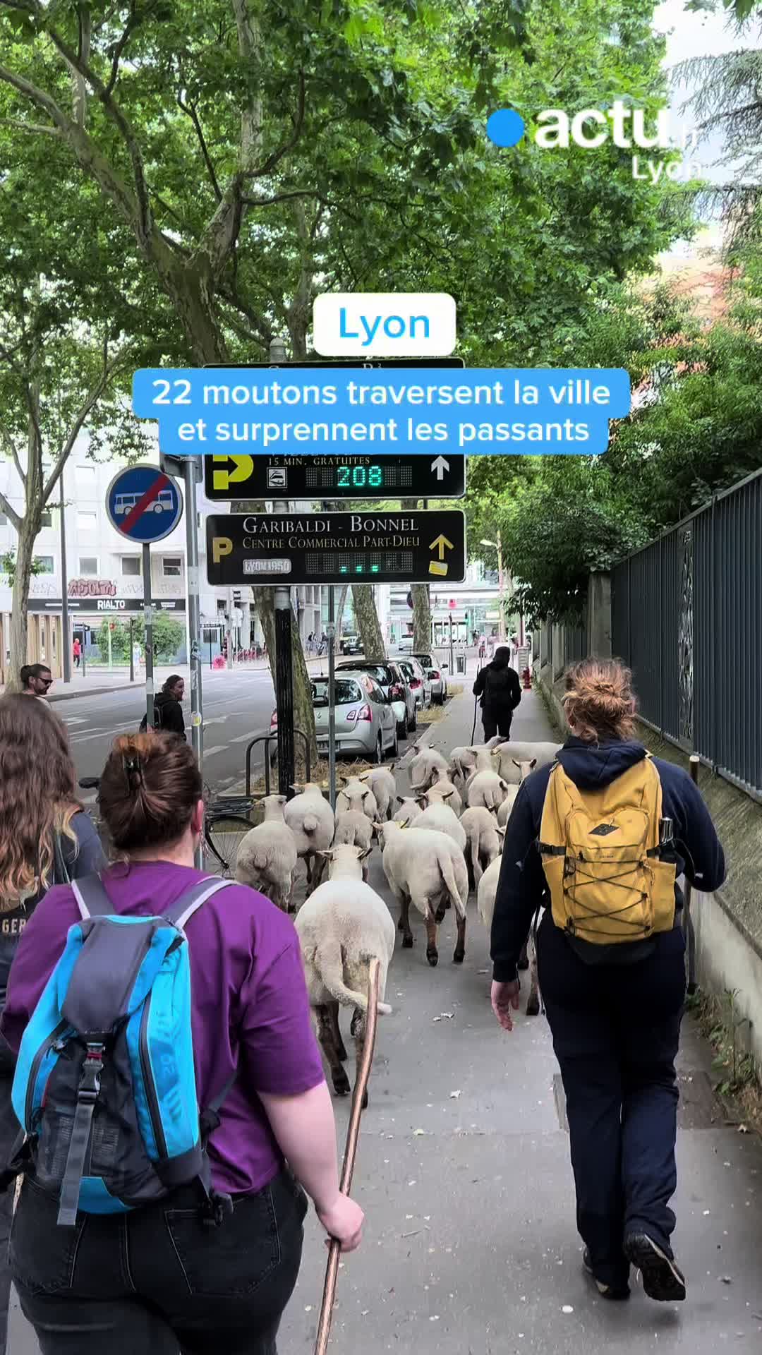 @actu Lyon