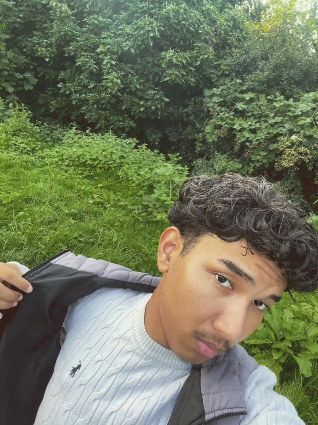 @Mashif.