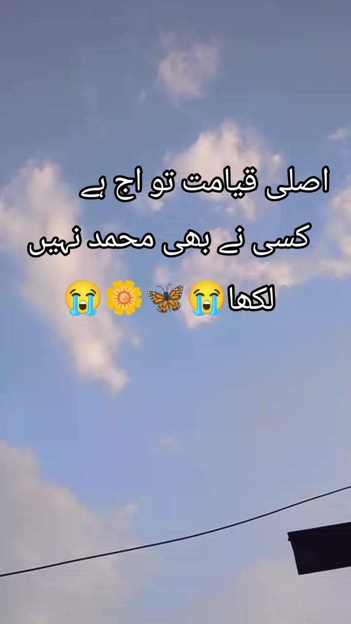 @<'پاگل' ہو >🦋