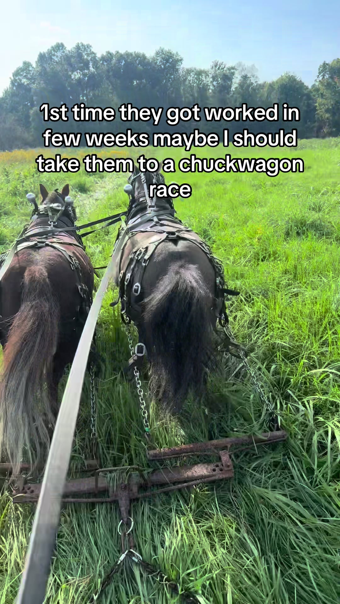 @cj