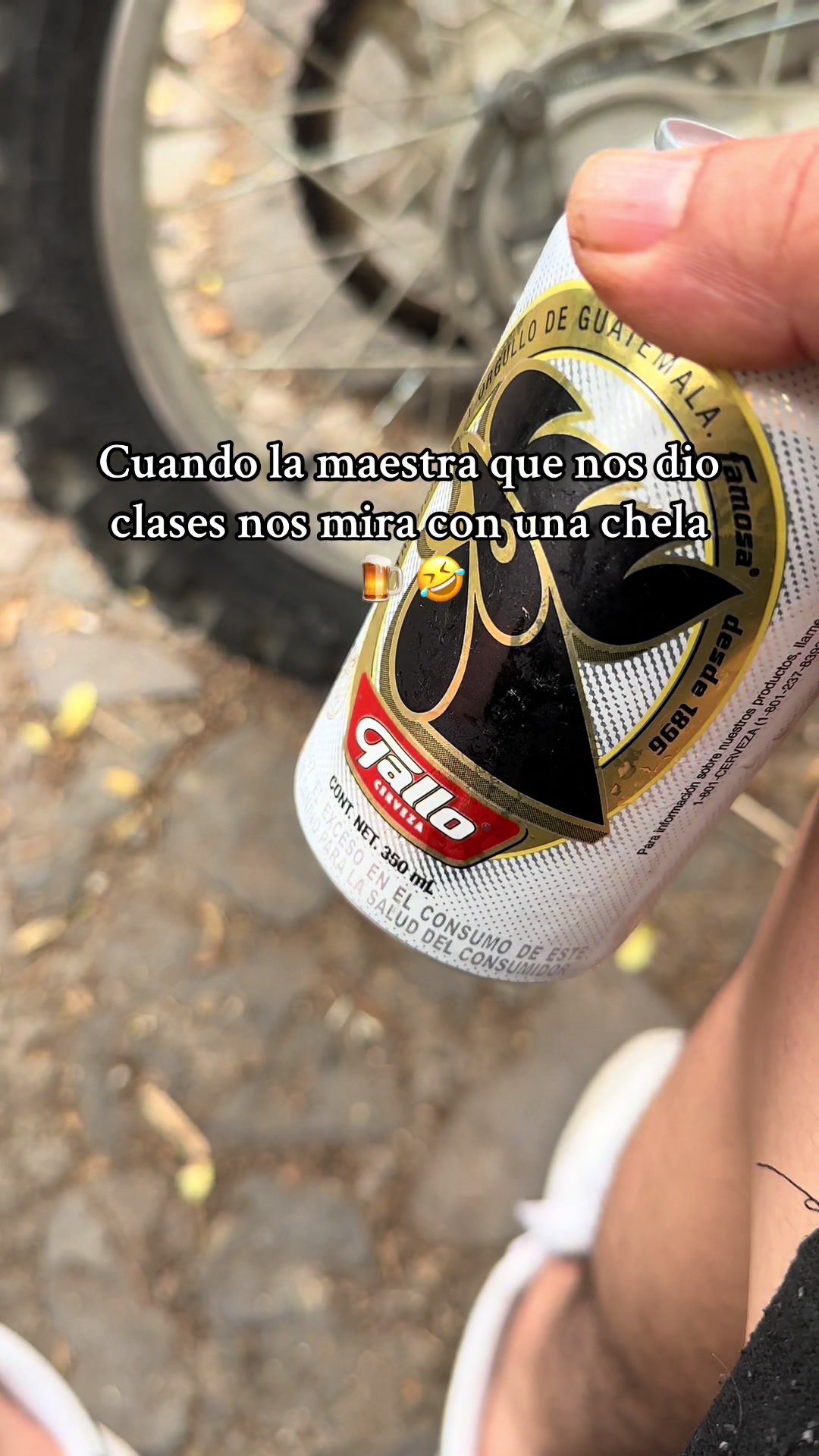 @Rey Saúl👑🍀