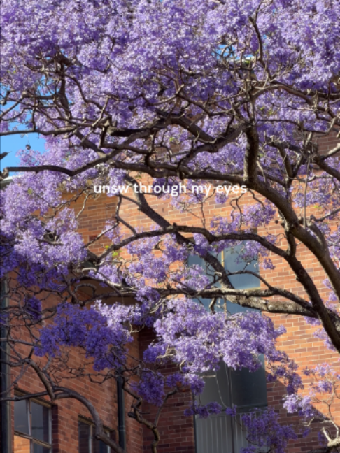 @UNSW