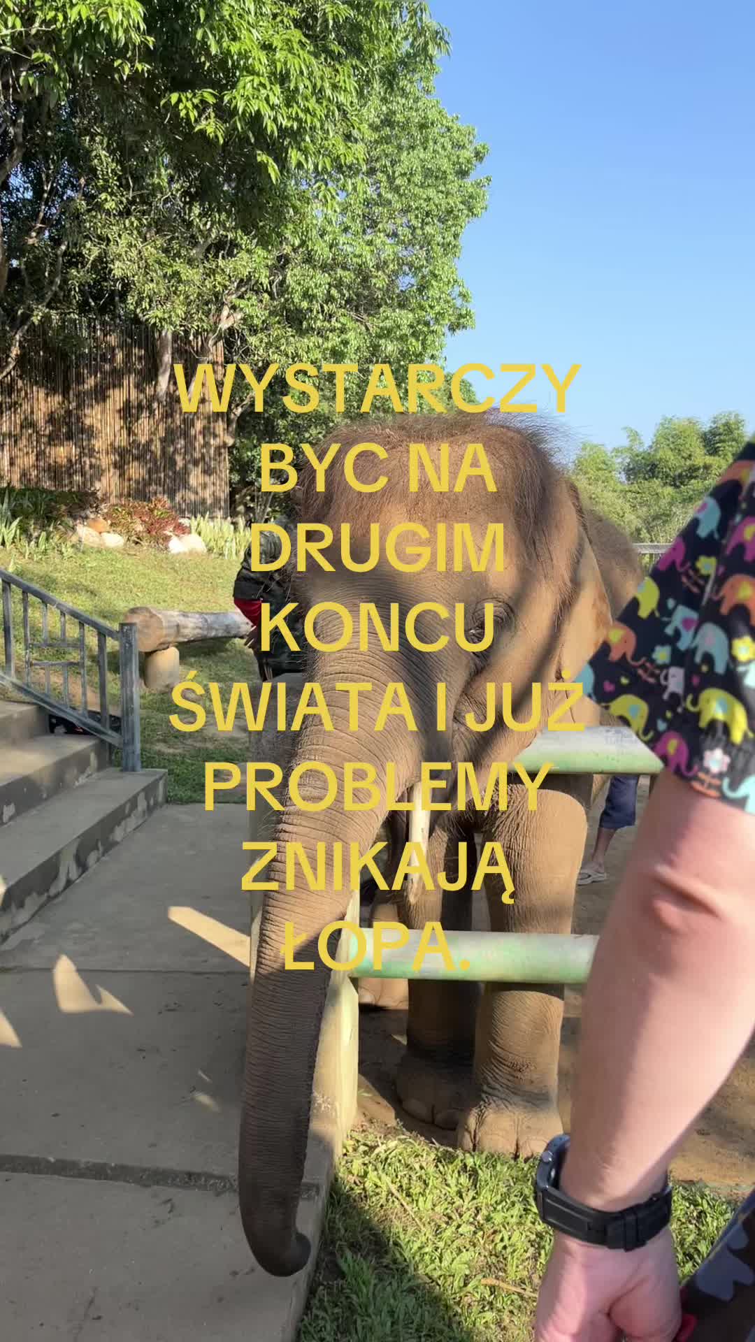 @yoxxz