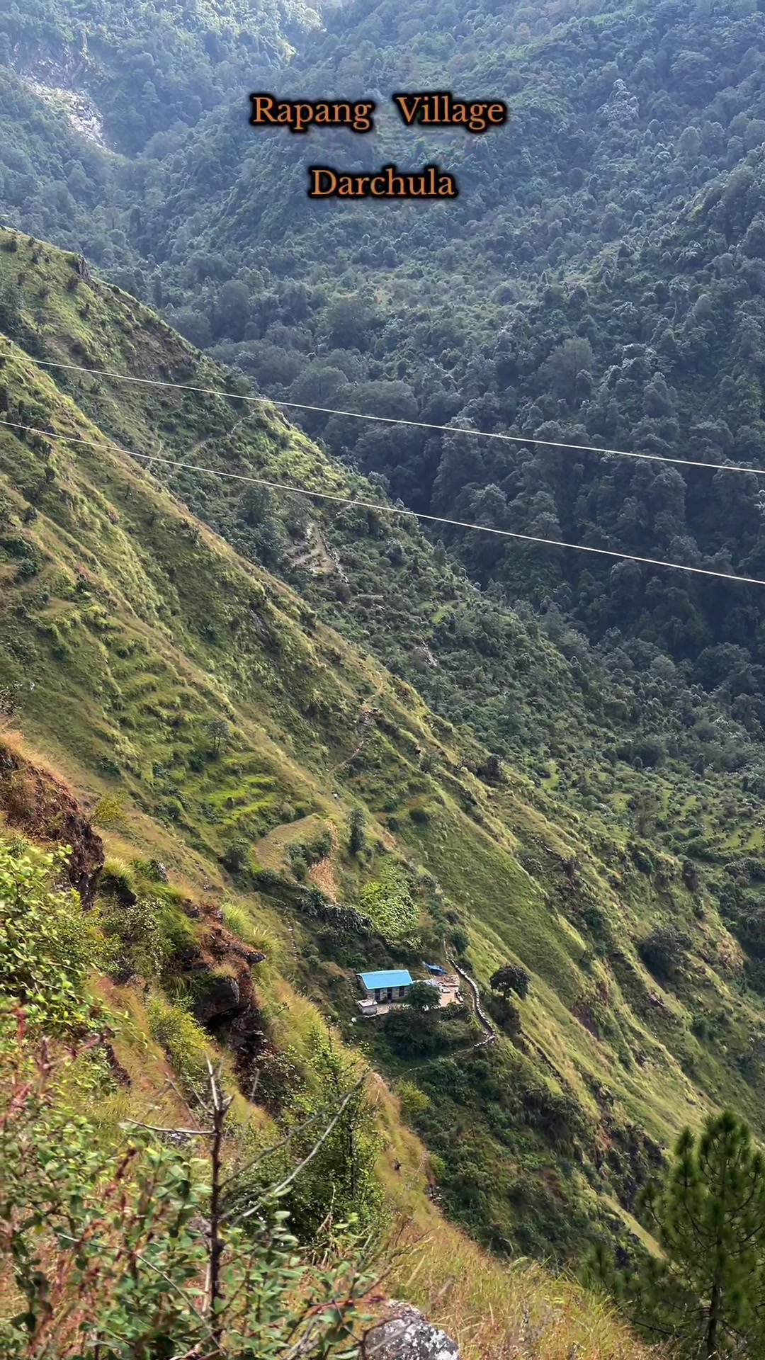 @थिँयाल 🌿