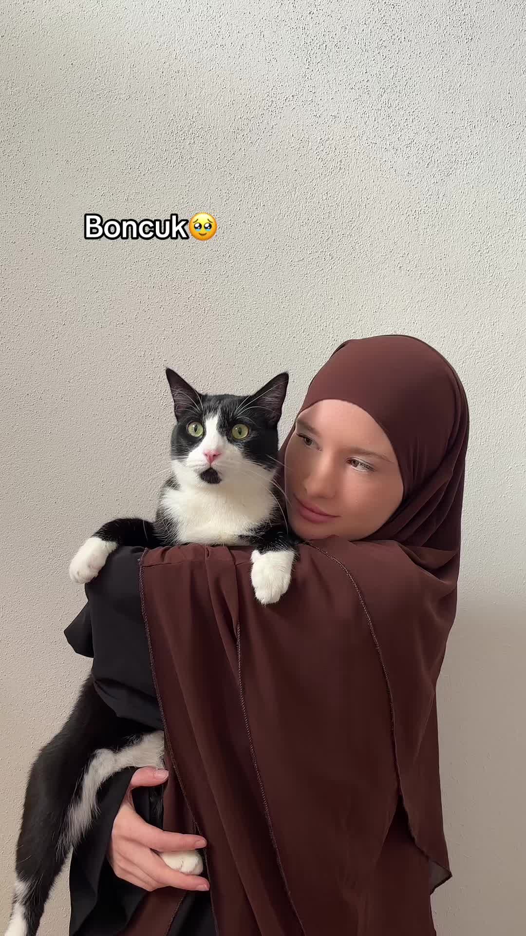 @celinn94