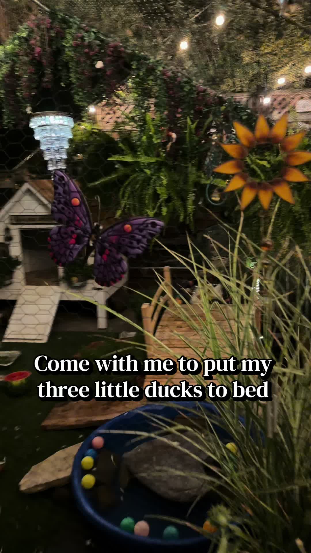 @Sherry&rsquo;s Backyard Sanctuary