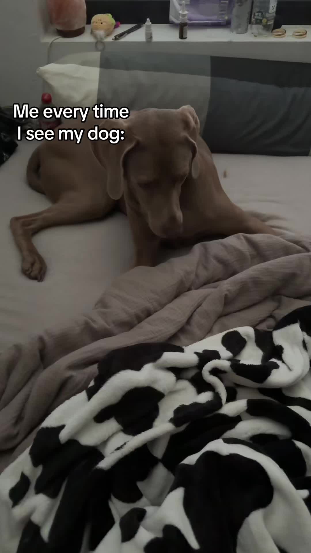 @𝓜𝓐𝓙𝓐