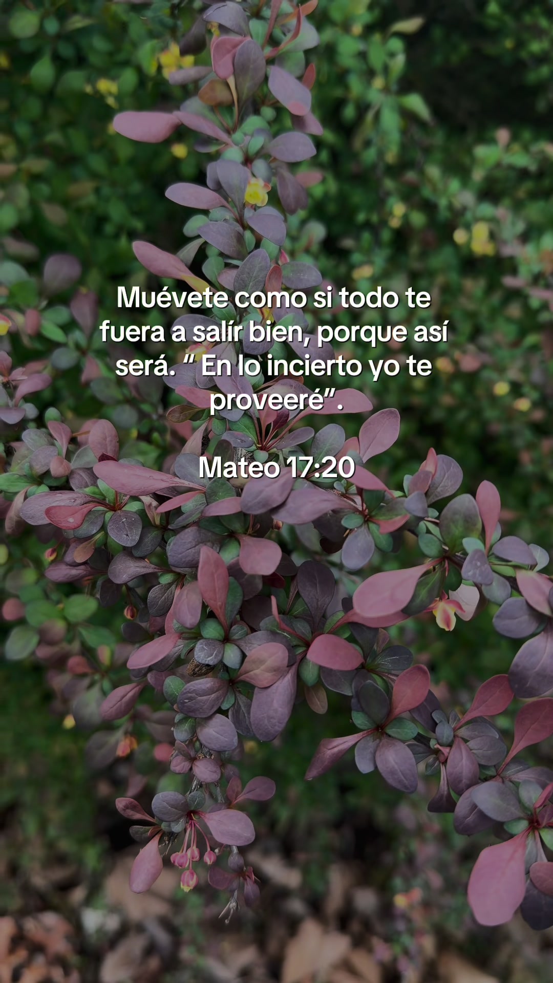 @tenemosunproposito