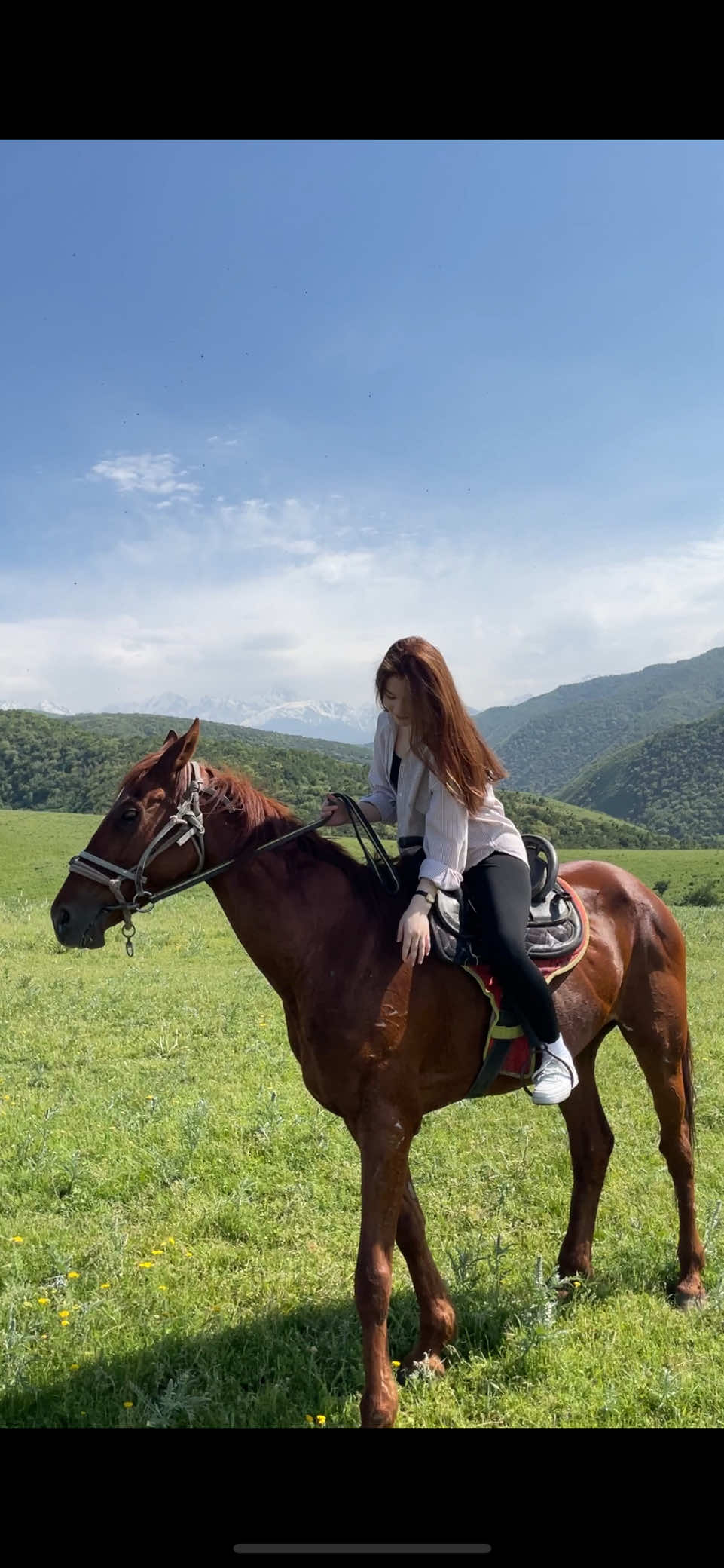 @Ақдидар