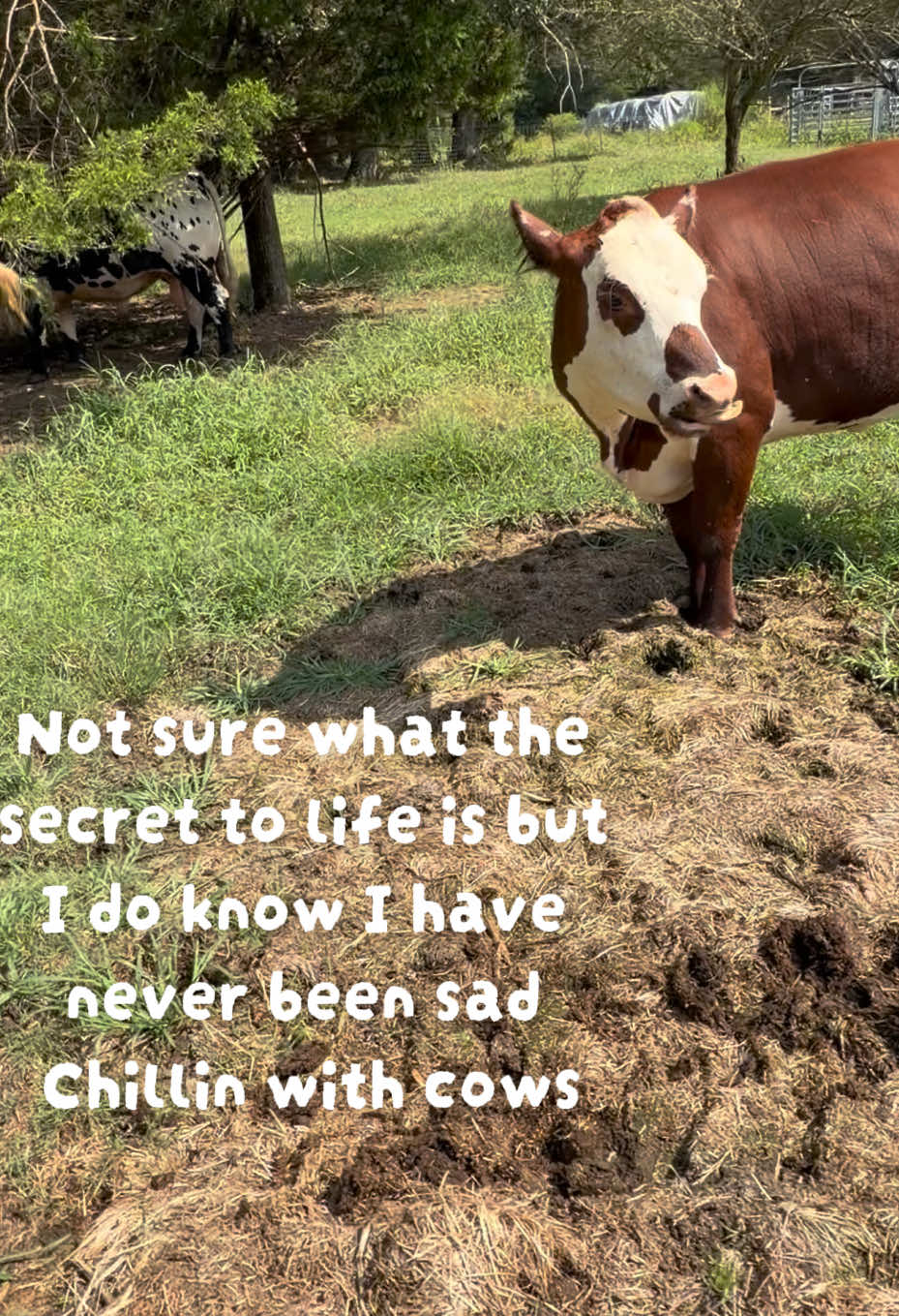 @Georgia Farm Girl