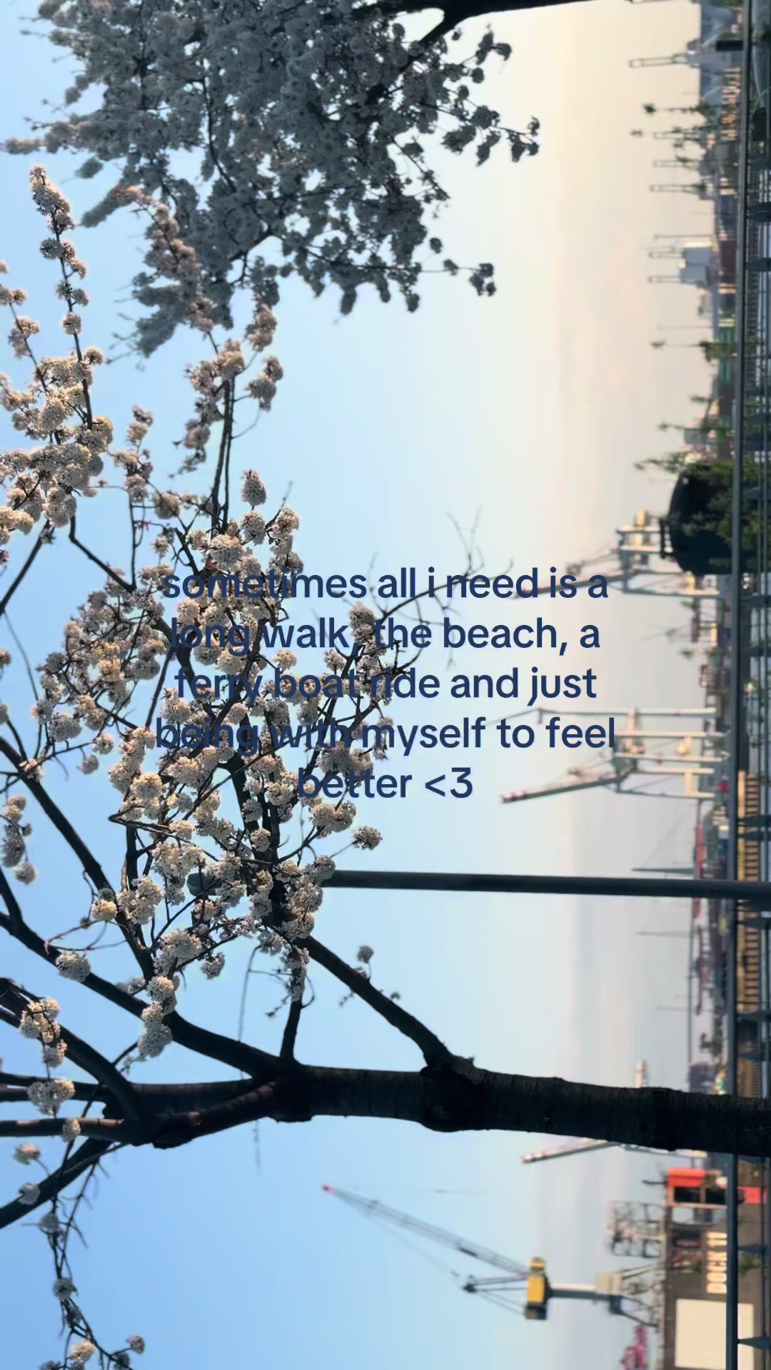 @โ. ๐หเฟ jess ๐๐หโ