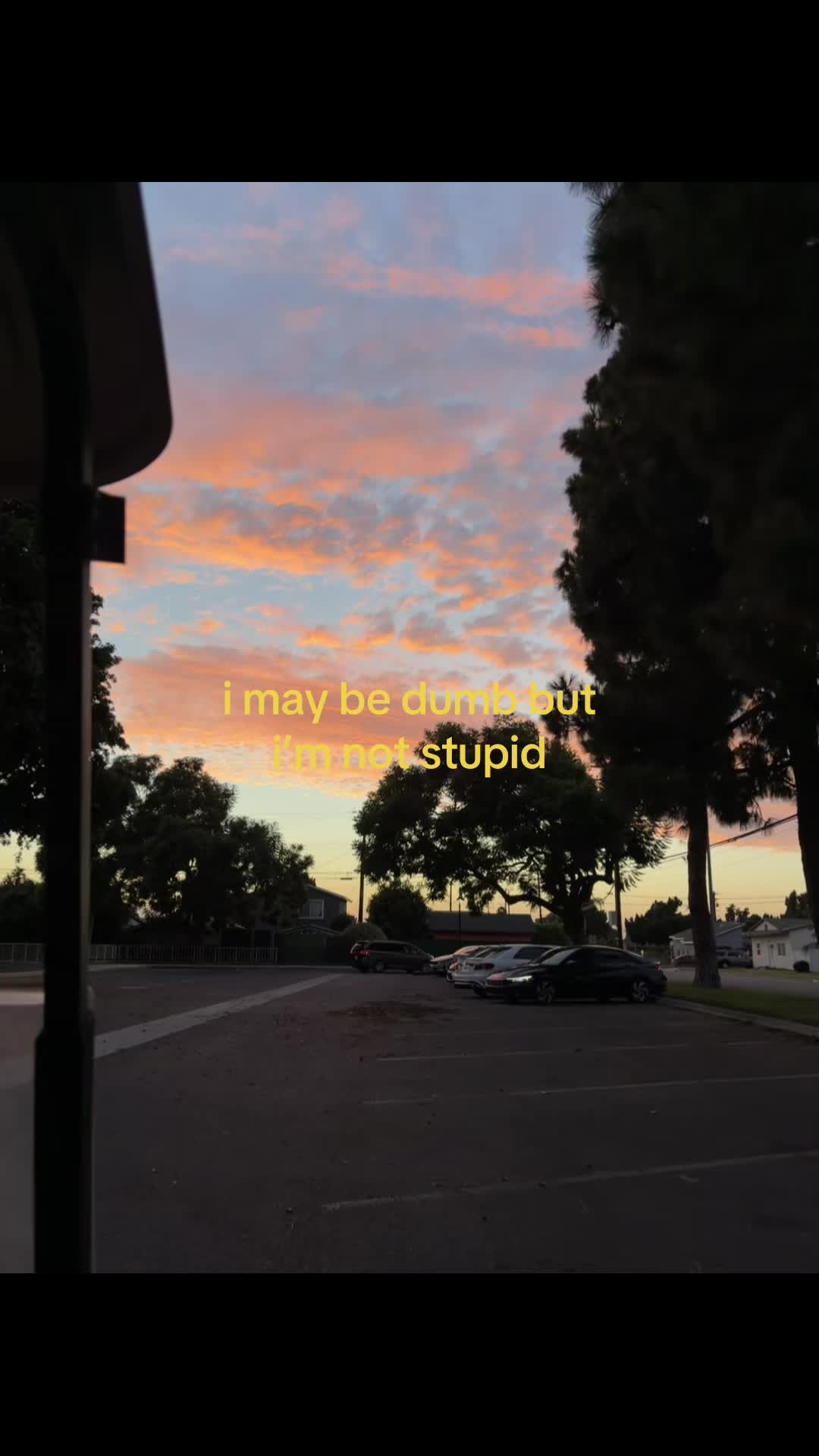 @ant