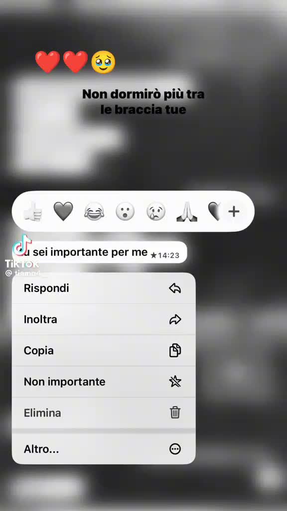 @greis urso 👸