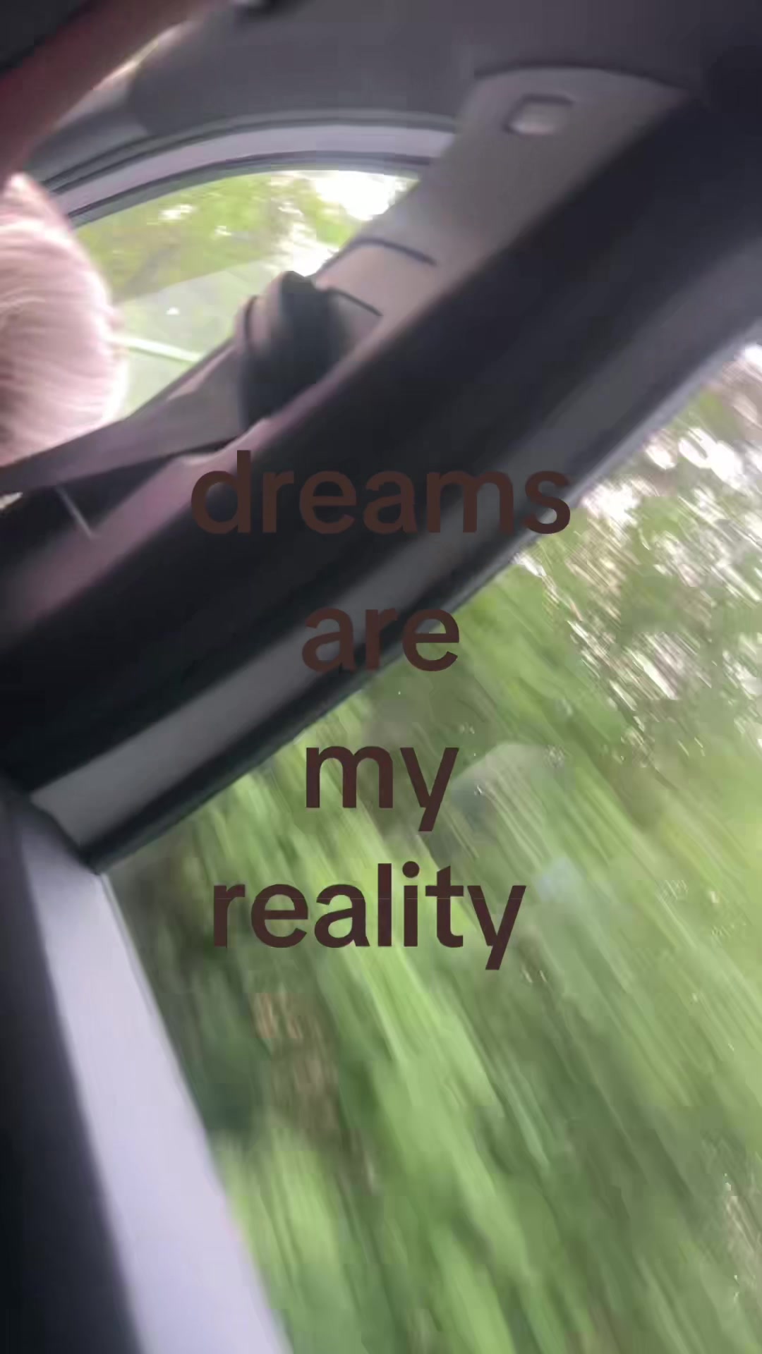 @paula🦥