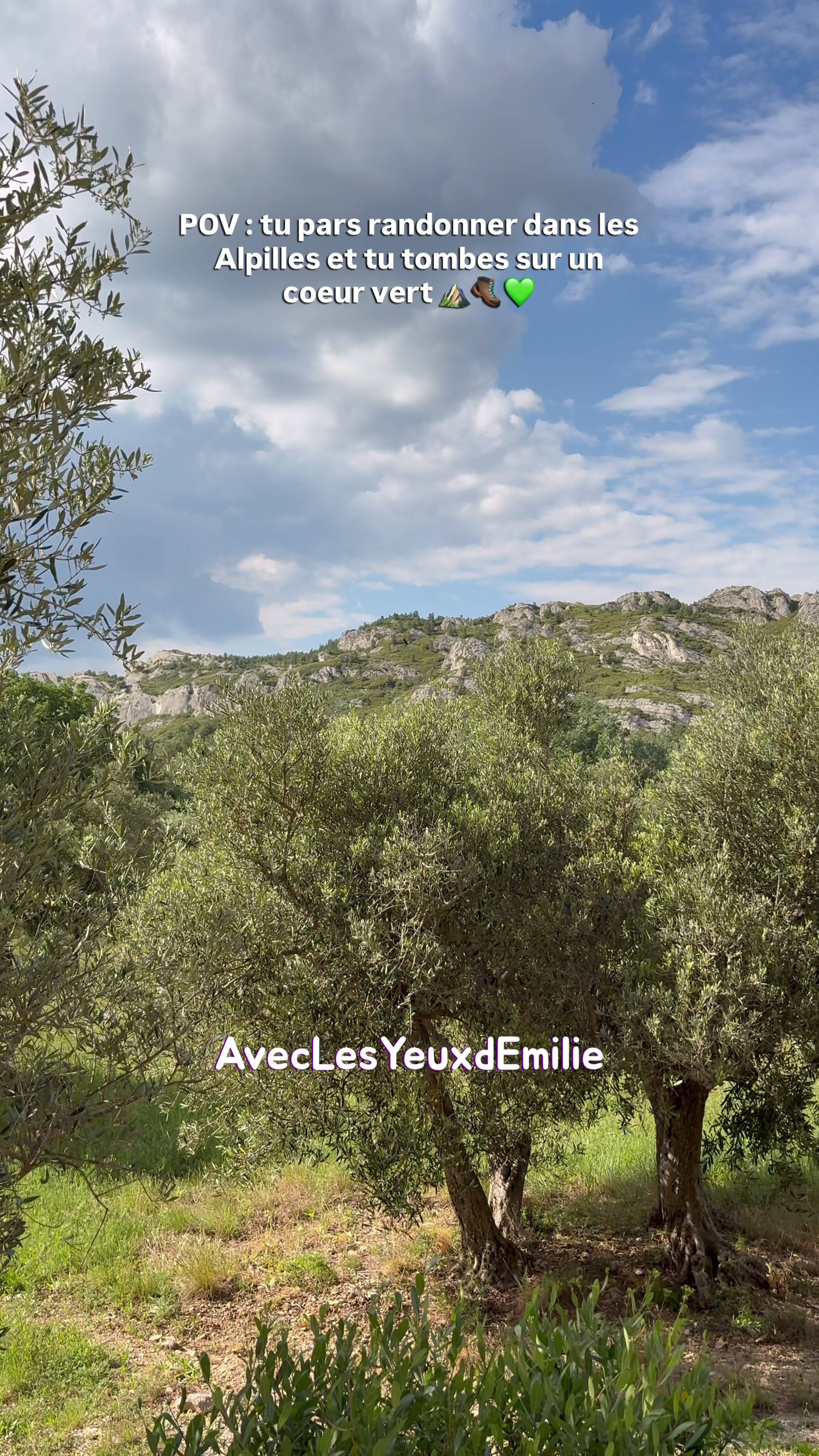 @AveclesyeuxdEmilie
