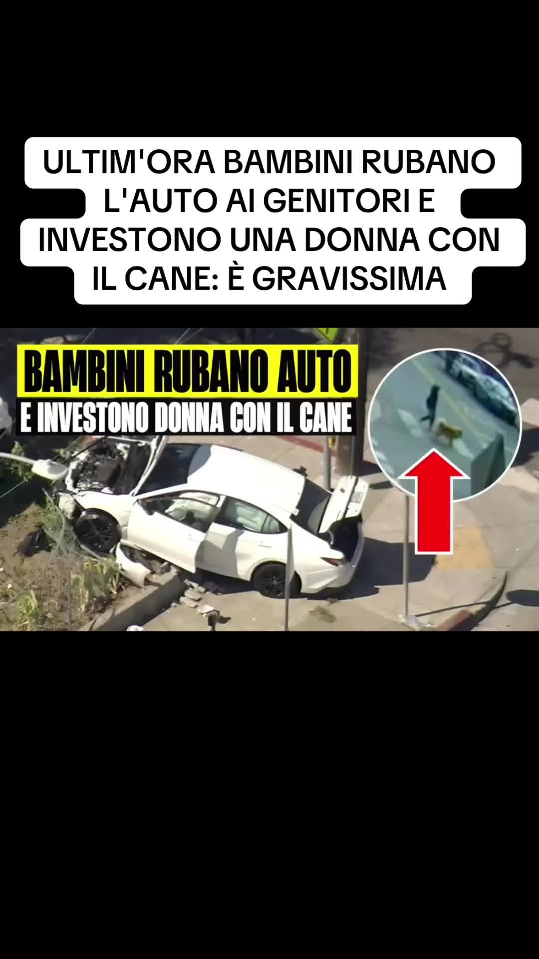 @flashtv_notizie