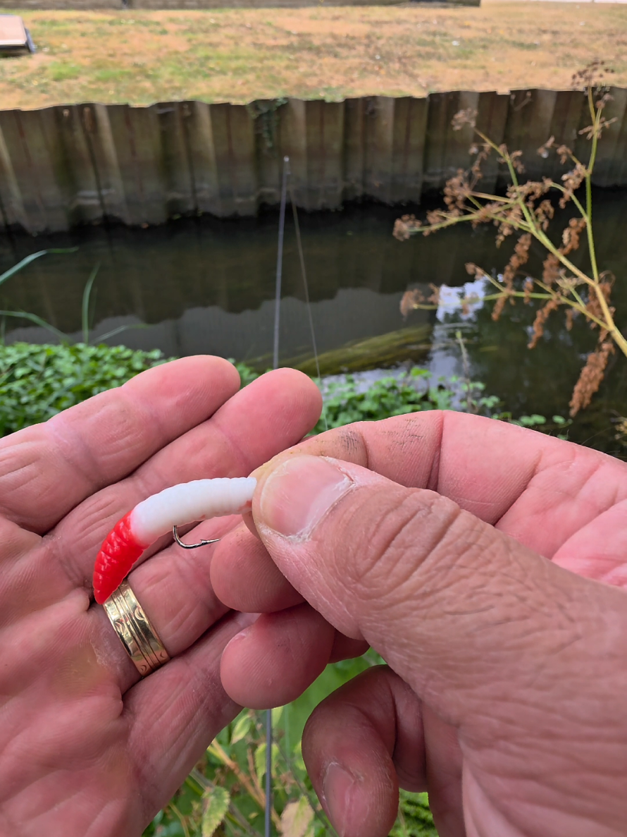 @BF Angler