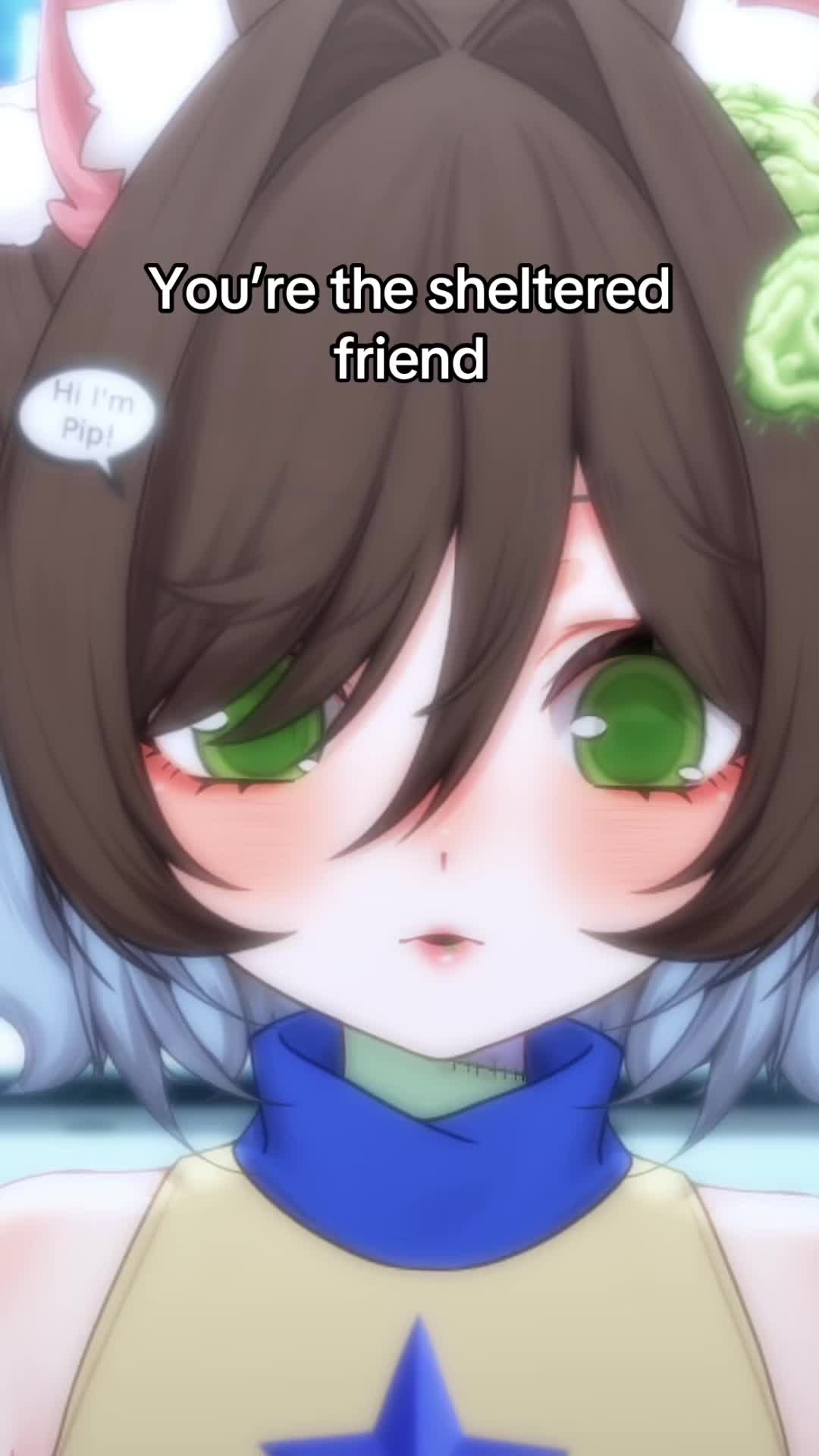 @Pipuru 🐿️🩹 [Vtuber]