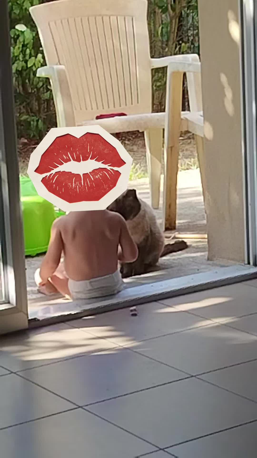 @jessjess