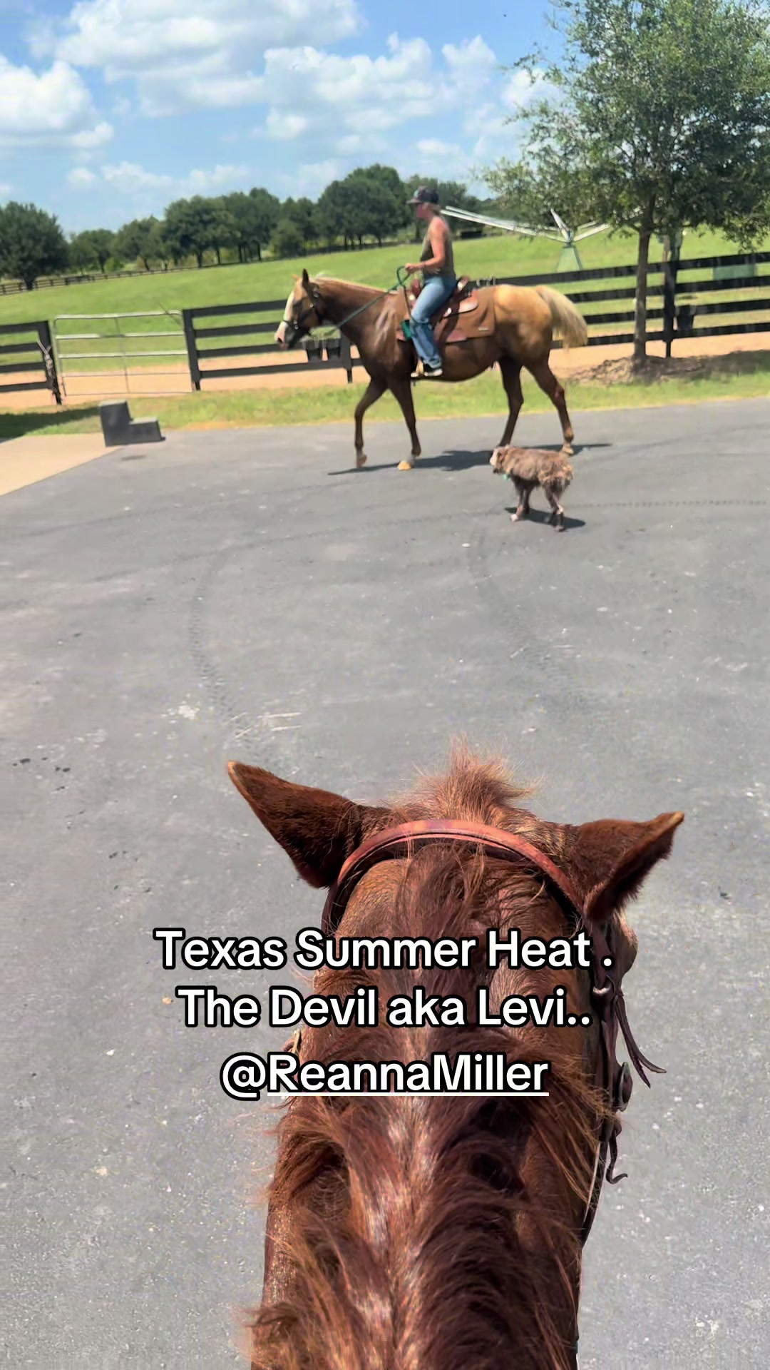 @bestlifetexas