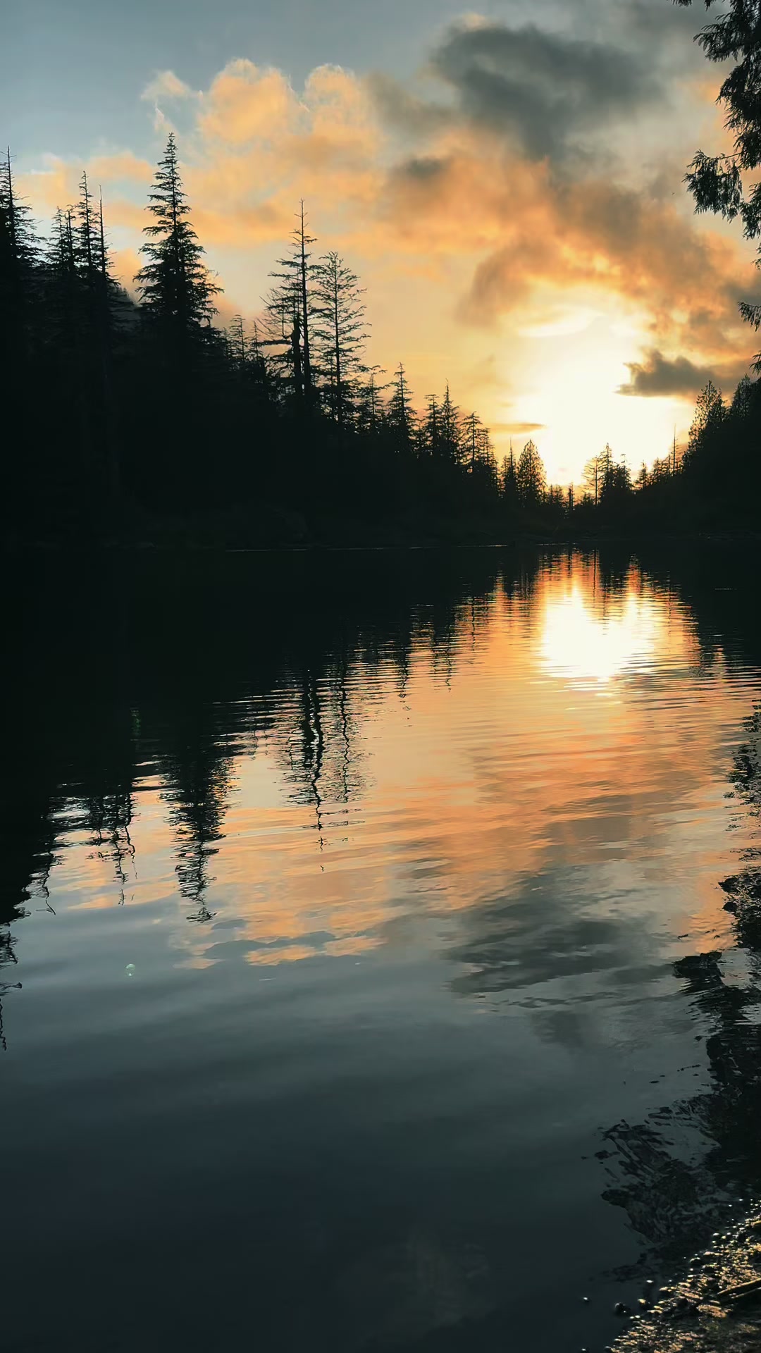 @🌲 James | WA 🏔️