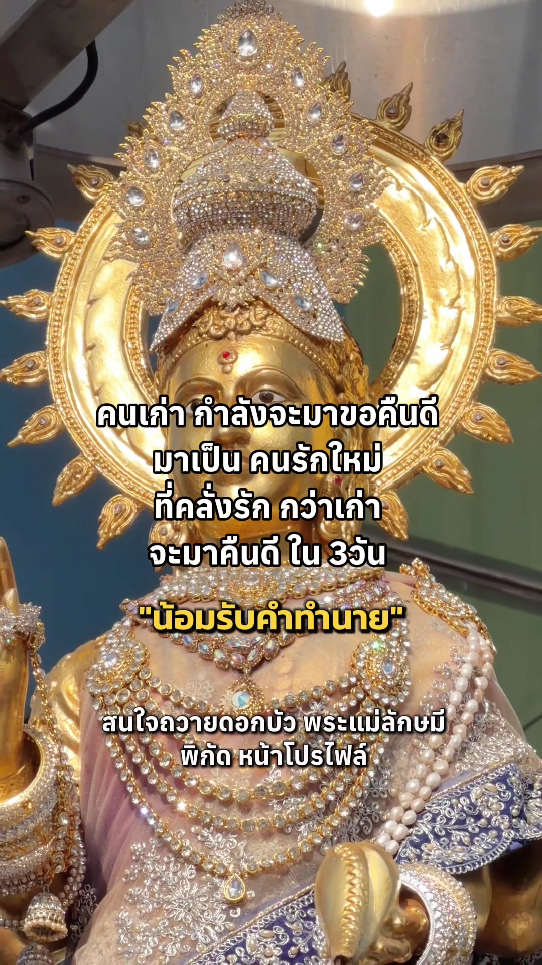 @มามู ออนไลน์ - ฝากไหว้ขอพร