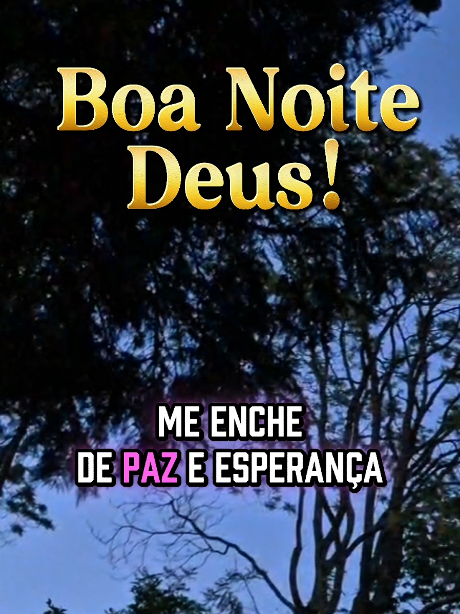 @PromessadeDeus91