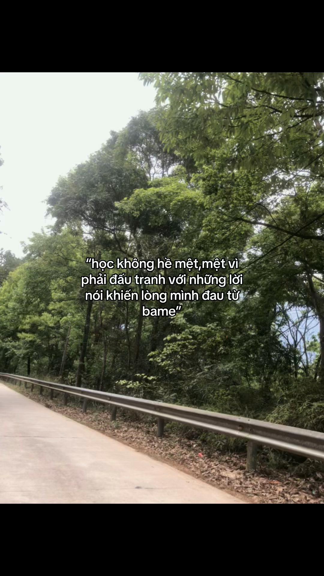 @cảm x&uacute;c