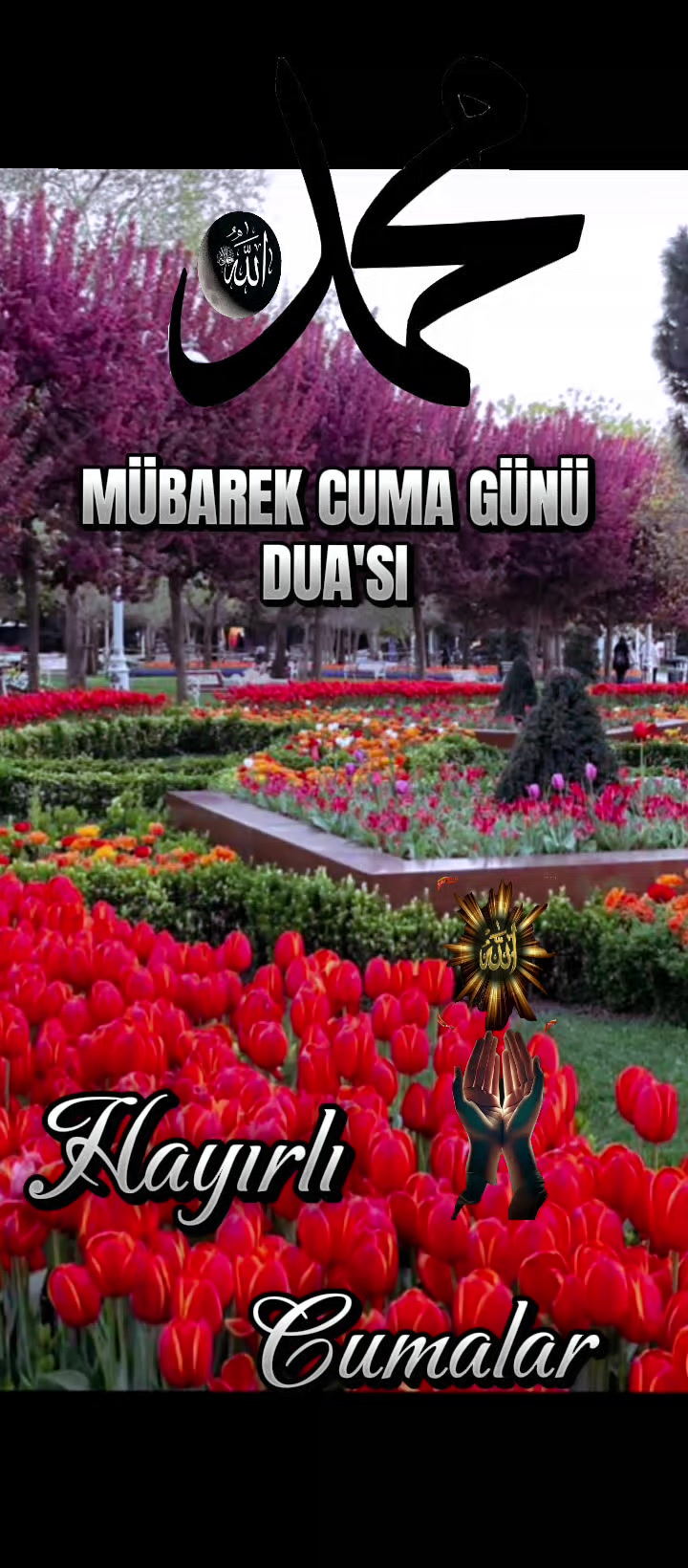@🇹🇷҉͜͡✭DAMLA🦂GÜL🇦🇿҉͜͡✭