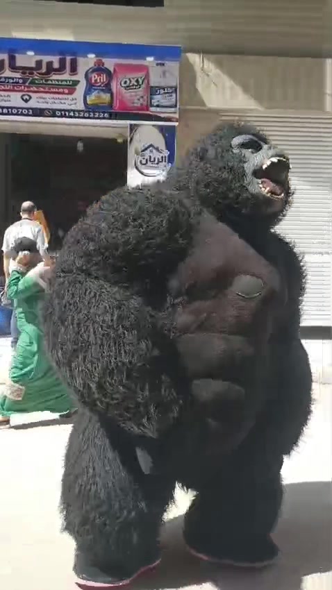 @بودا بتاع غوريلا🦍🔥