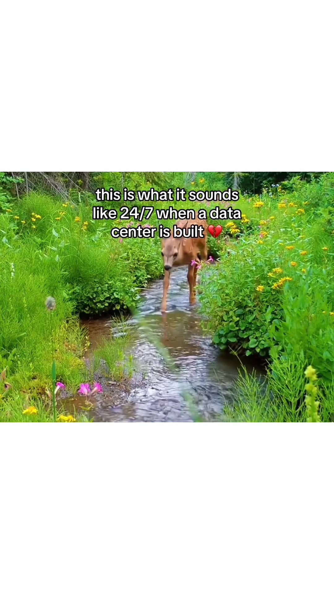 @Sereda