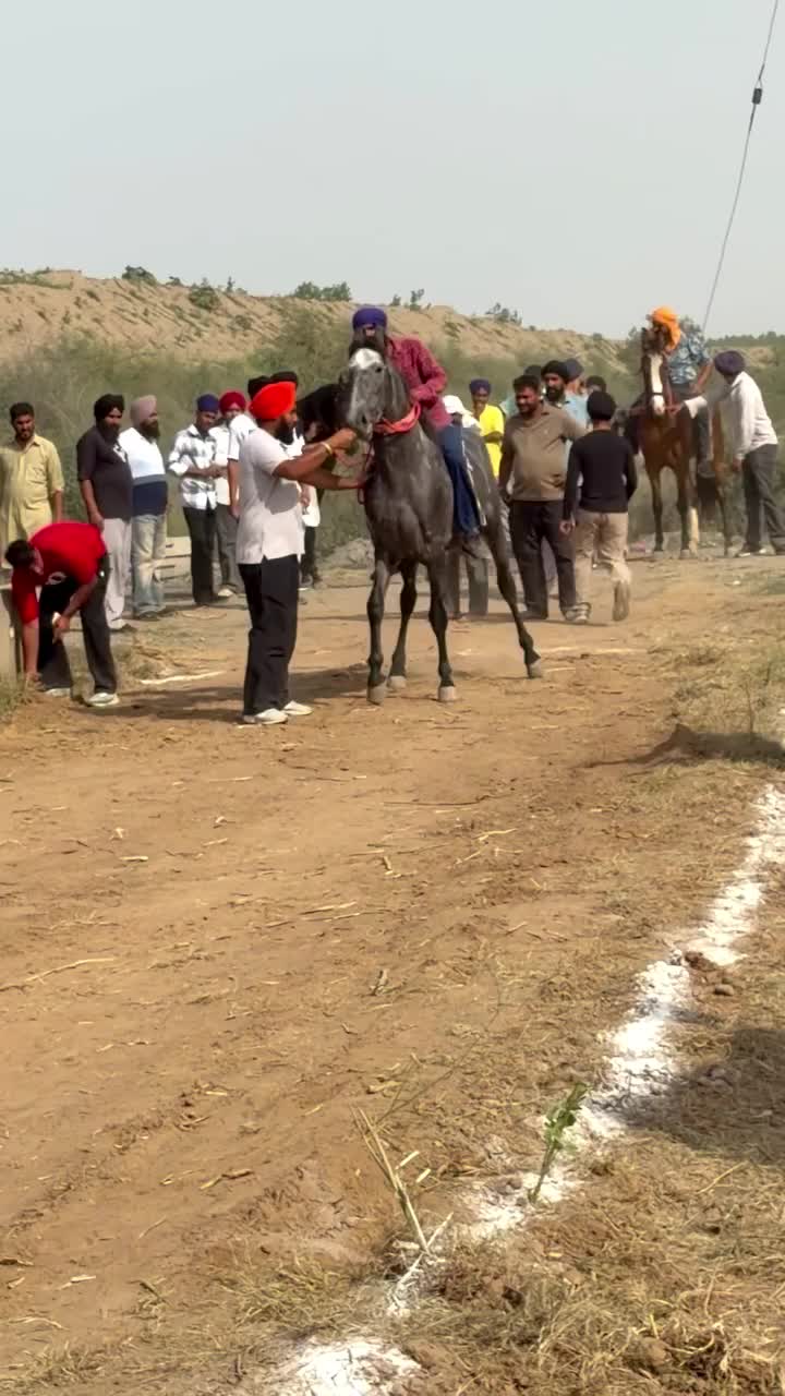@🏇 MARWARI HORSE RACING 🏇