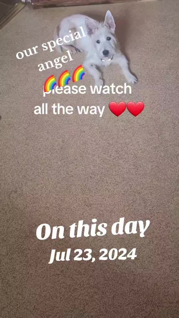 @claire🌈bellaBert Ernie💙Tonks