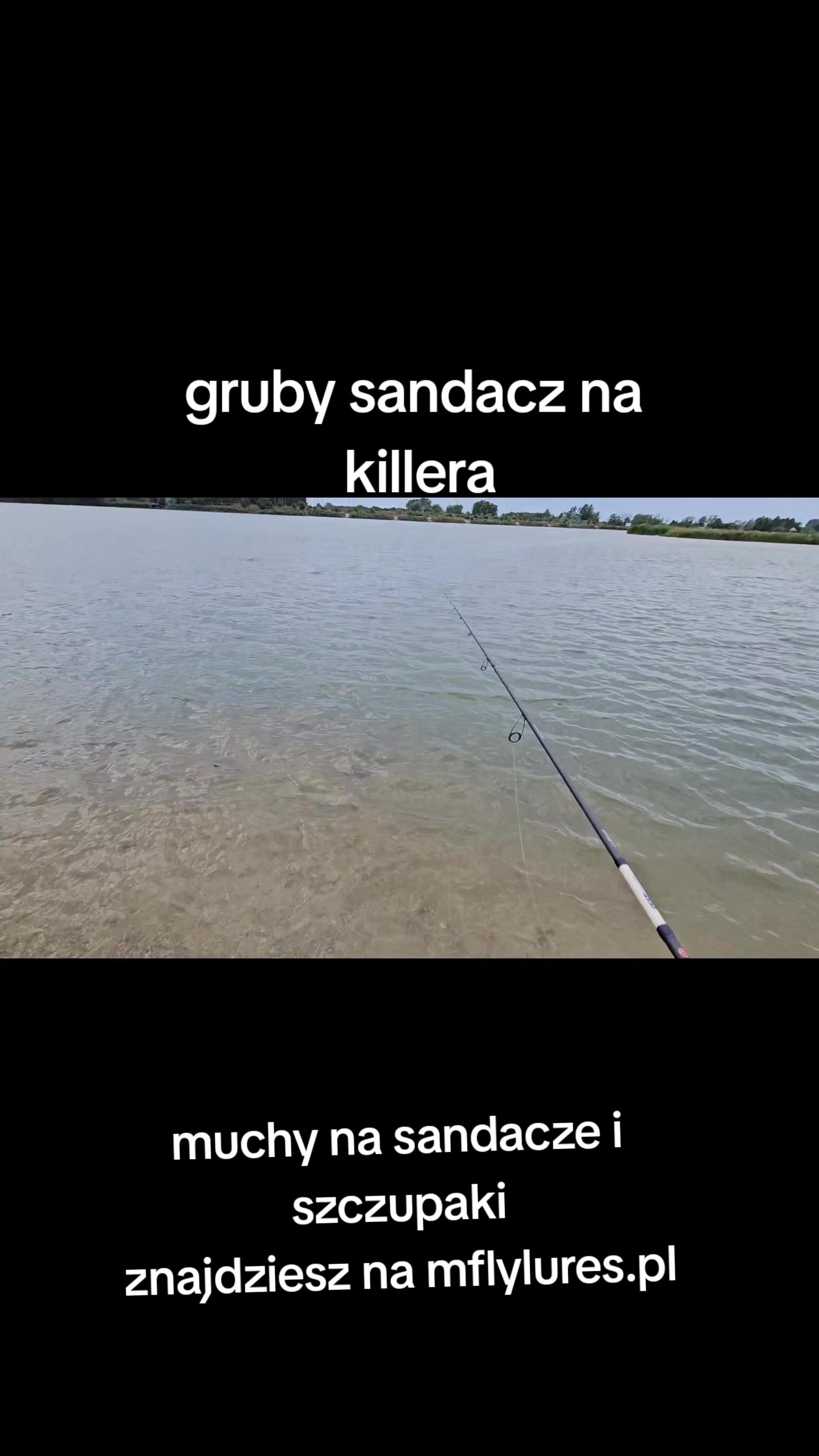 @mfly_lures