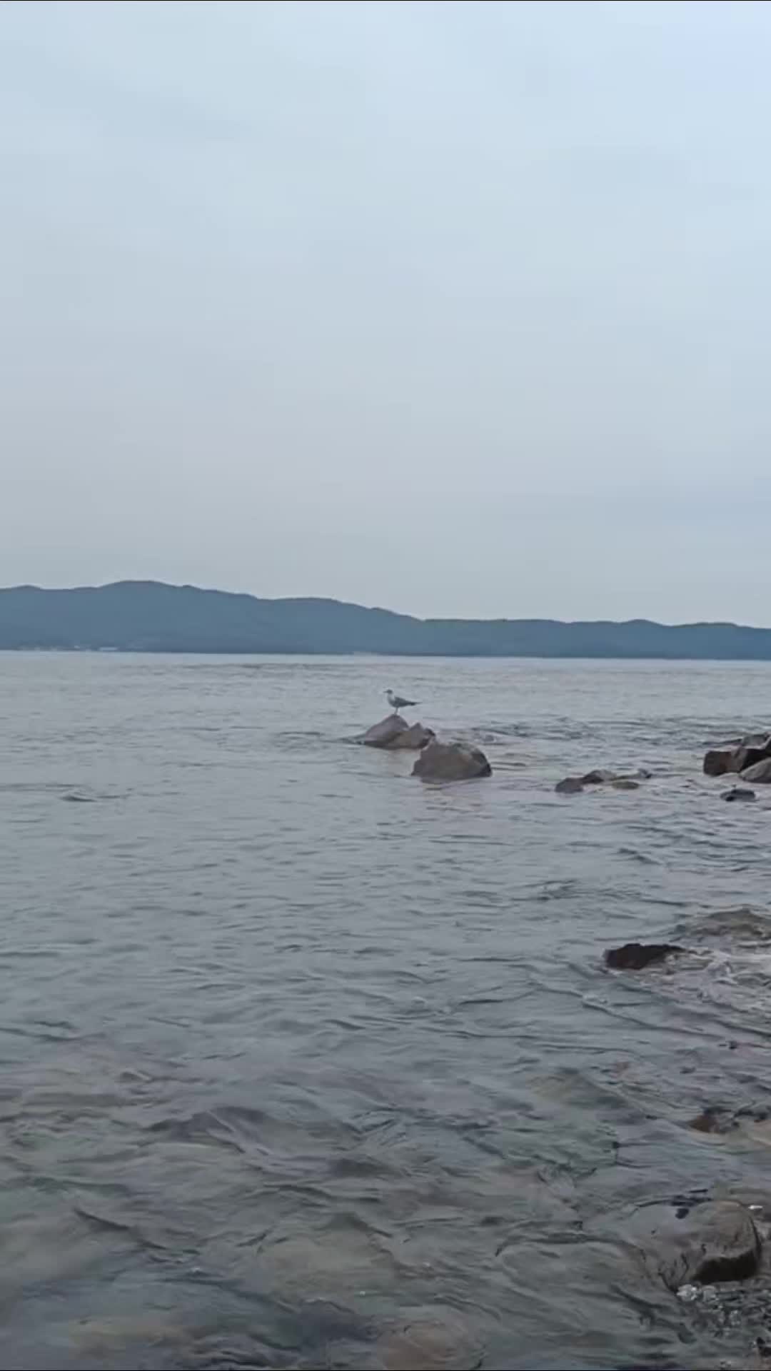 @Лена