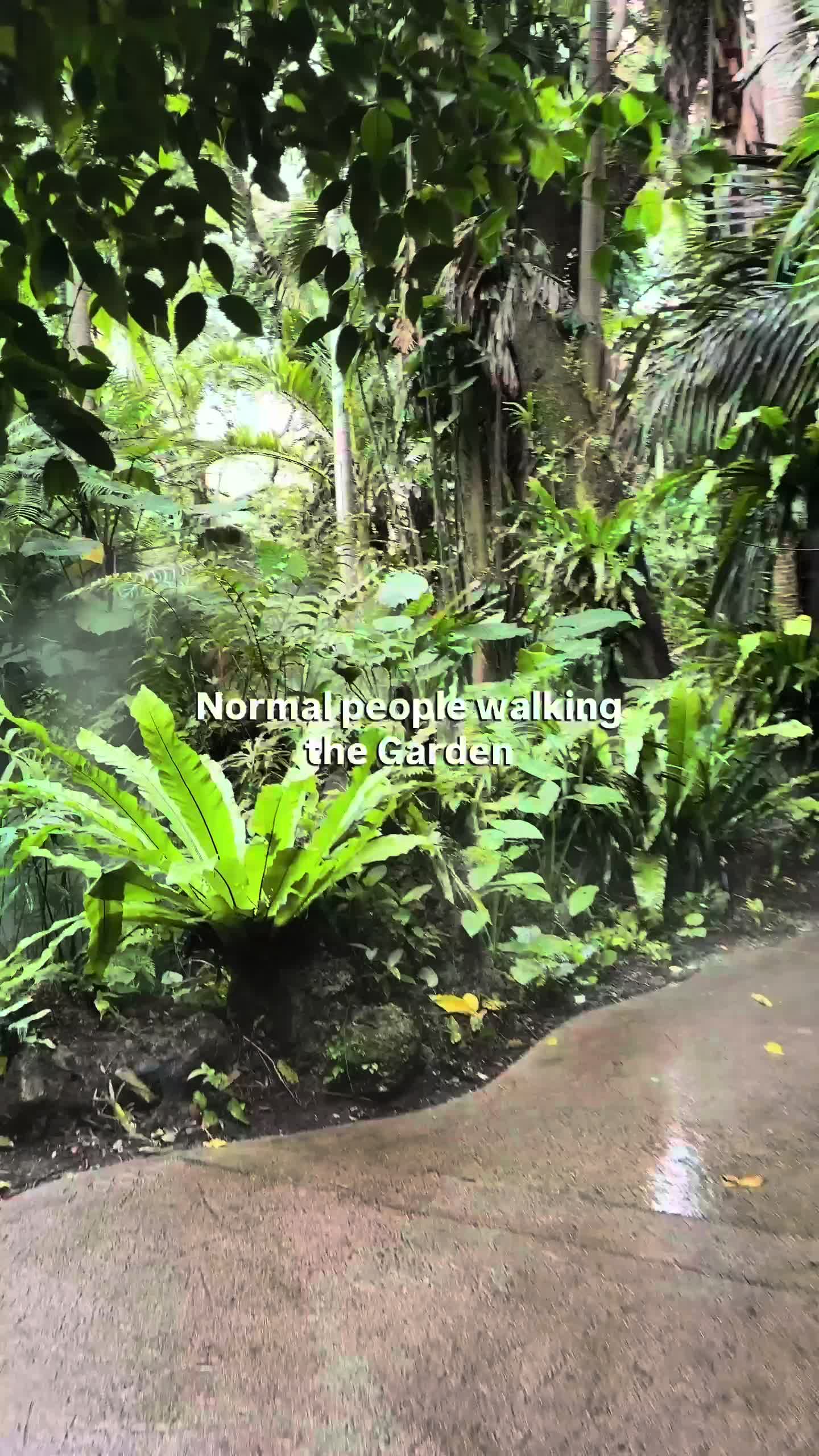 @Fairchild Botanic Garden